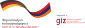 GIZ logo