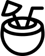 optImg